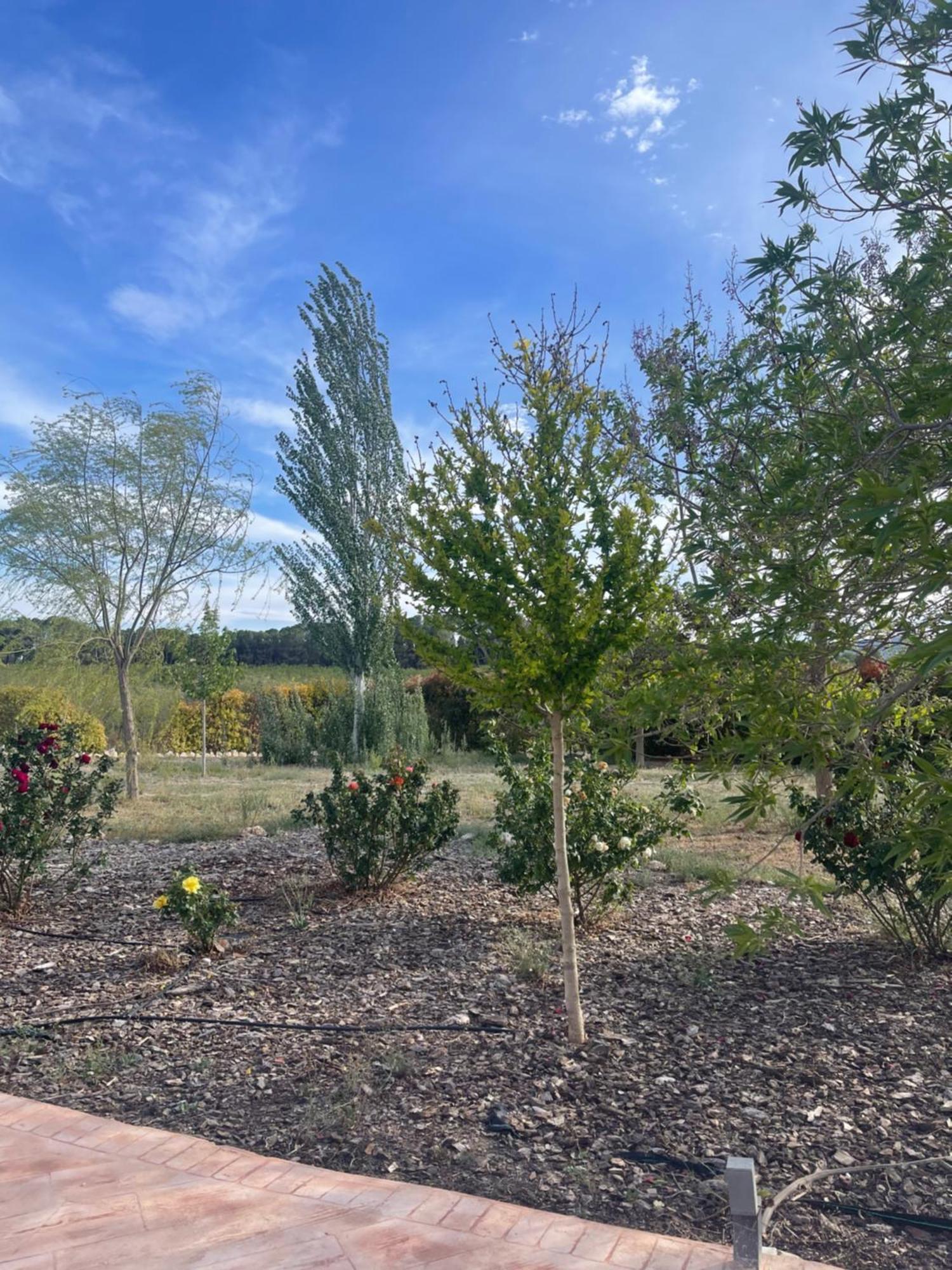 Casa Rural Villa Cruz Caravaca De La Cruz Zewnętrze zdjęcie